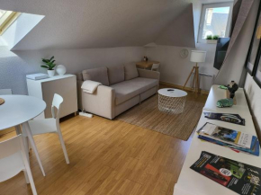 Appartement style loft en centre ville